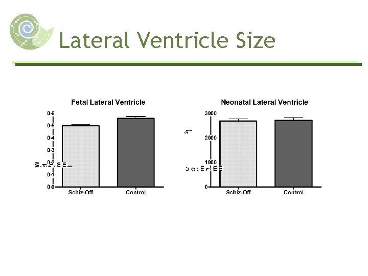 Lateral Ventricle Size 