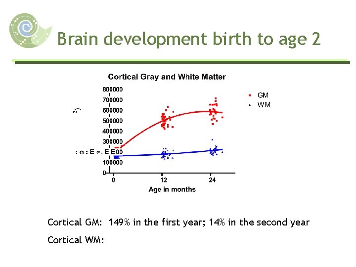 Brain development birth to age 2 Cortical GM: 149% in the first year; 14%
