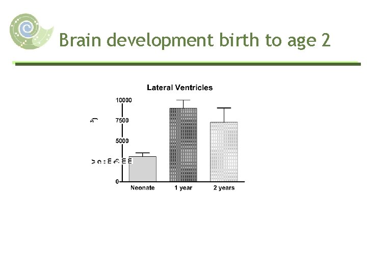 Brain development birth to age 2 