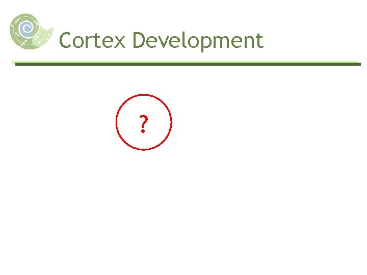 Cortex Development ? 