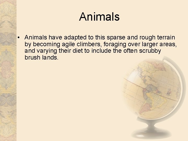 Animals • Animals have adapted to this sparse and rough terrain by becoming agile