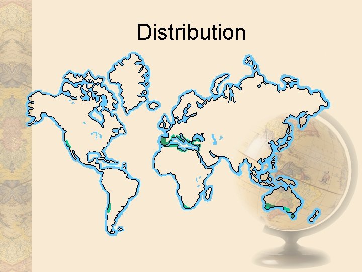Distribution 