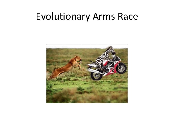 Evolutionary Arms Race 