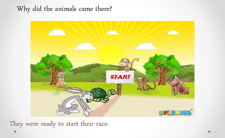 Why did the animals came there? They were ready to start their race. 