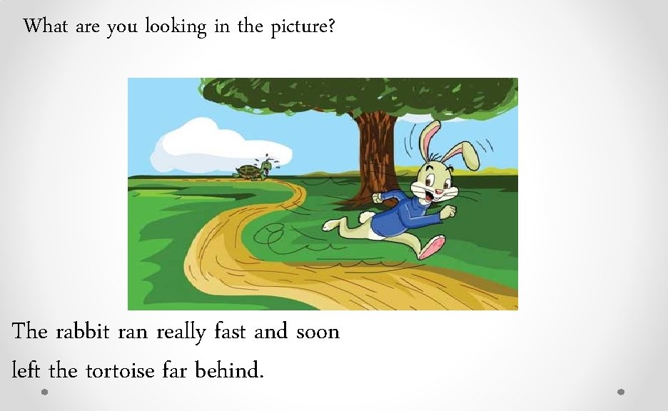 What are you looking in the picture? The rabbit ran really fast and soon