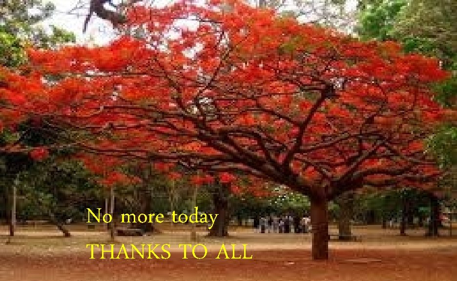 No more today THANKS TO ALL 