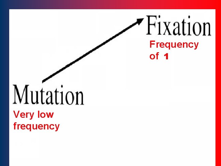 Frequency of 1 Very low frequency 3 