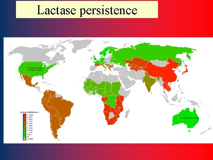 Lactase persistence 