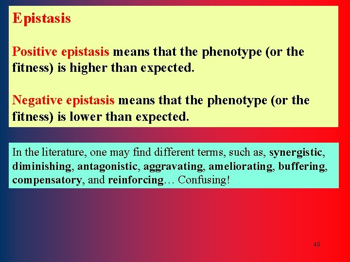 Epistasis Positive epistasis means that the phenotype (or the fitness) is higher than expected.