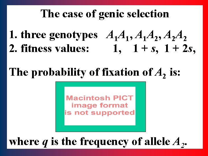 The case of genic selection 1. three genotypes A 1 A 1, A 1