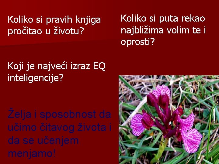 Koliko si pravih knjiga pročitao u životu? Koji je najveći izraz EQ inteligencije? Želja