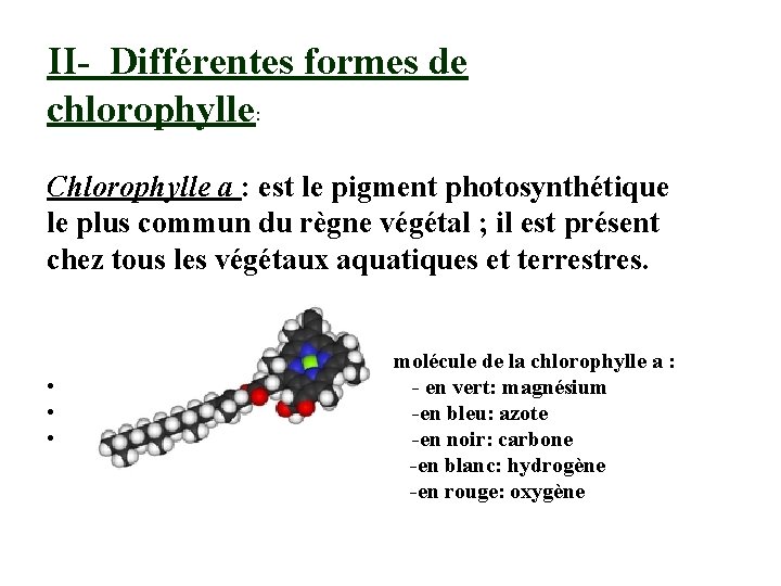 II- Différentes formes de chlorophylle: Chlorophylle a : est le pigment photosynthétique le plus II- Différentes formes de chlorophylle: Chlorophylle a : est le pigment photosynthétique le plus