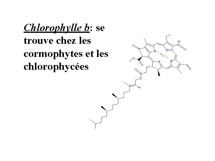 Chlorophylle b: se trouve chez les cormophytes et les chlorophycées Chlorophylle b: se trouve chez les cormophytes et les chlorophycées