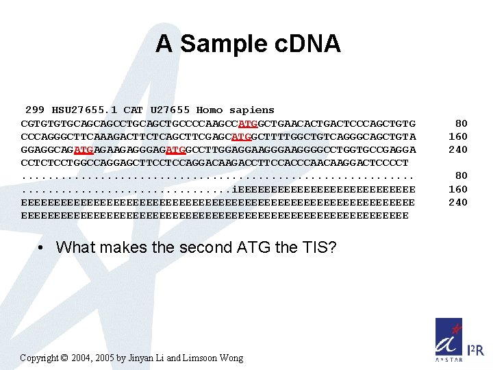 A Sample c. DNA 299 HSU 27655. 1 CAT U 27655 Homo sapiens CGTGTGTGCAGCAGCCTGCAGCTGCCCCAAGCCATGGCTGAACACTGACTCCCAGCTGTG