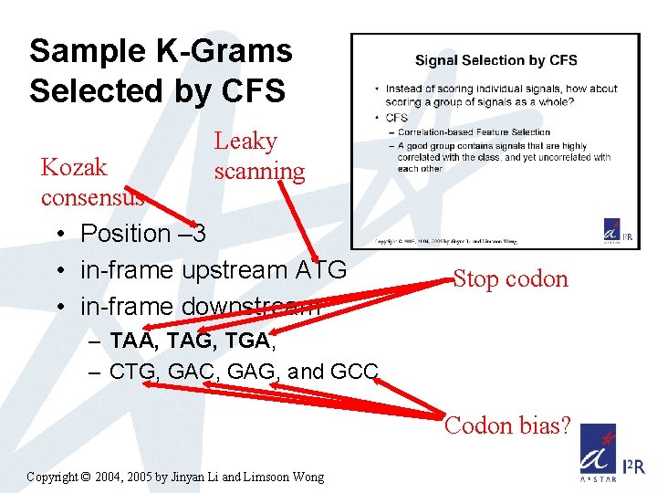 Sample K-Grams Selected by CFS Leaky scanning Kozak consensus • Position – 3 •