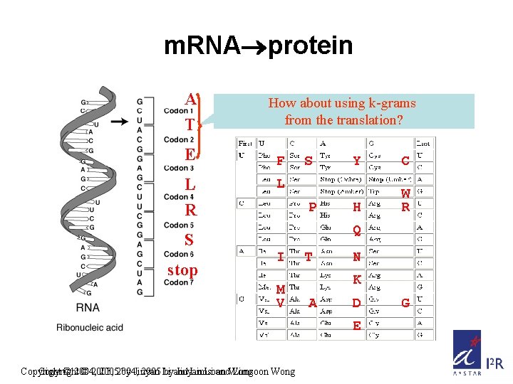 m. RNA protein A T E L R How about using k-grams from the