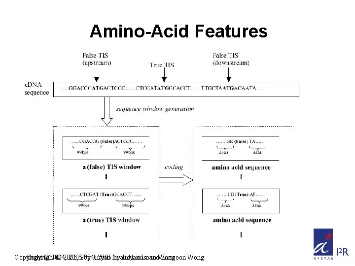Amino-Acid Features Copyright © 2004, © 2003, 20052004, by Jinyan 2005 Li byand Jinyan