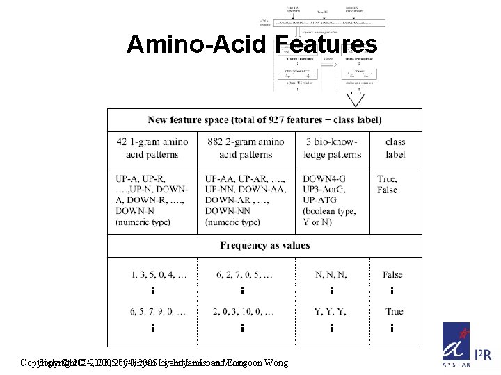 Amino-Acid Features Copyright © 2004, © 2003, 20052004, by Jinyan 2005 Li byand Jinyan