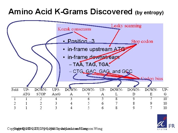 Amino Acid K-Grams Discovered (by entropy) Copyright © 2004, © 2003, 20052004, by Jinyan