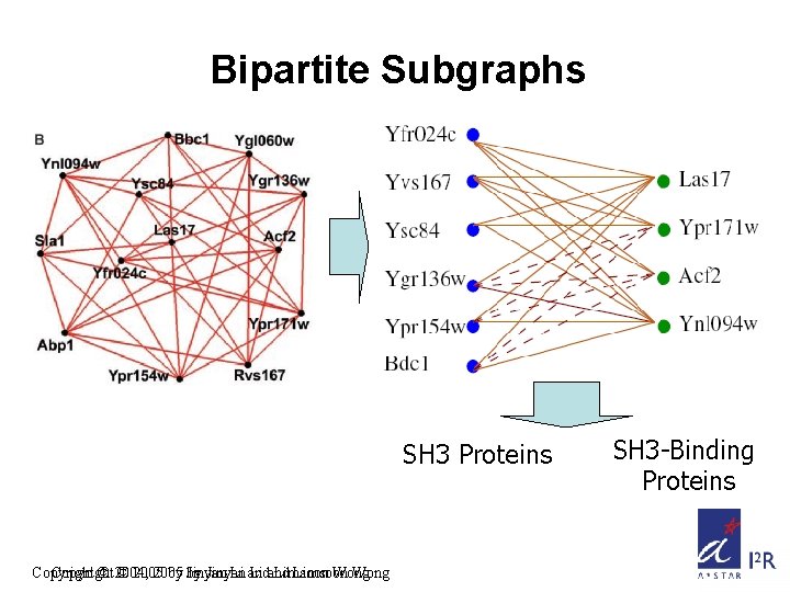 Bipartite Subgraphs SH 3 Proteins Copyright © 2004, © 2005 by by Jinyan Li