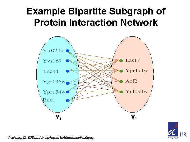Example Bipartite Subgraph of Protein Interaction Network V 1 Copyright © 2004, © 2005