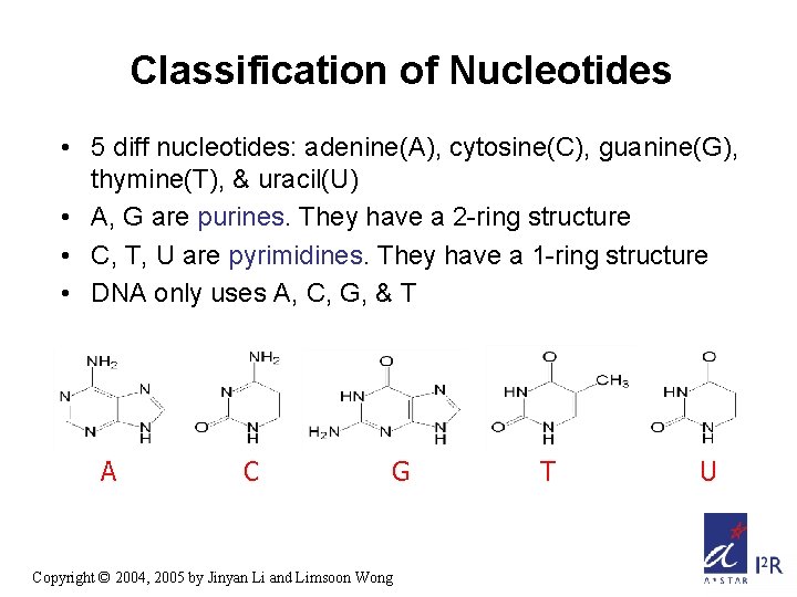 Classification of Nucleotides • 5 diff nucleotides: adenine(A), cytosine(C), guanine(G), thymine(T), & uracil(U) •