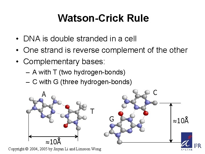 Watson-Crick Rule • DNA is double stranded in a cell • One strand is