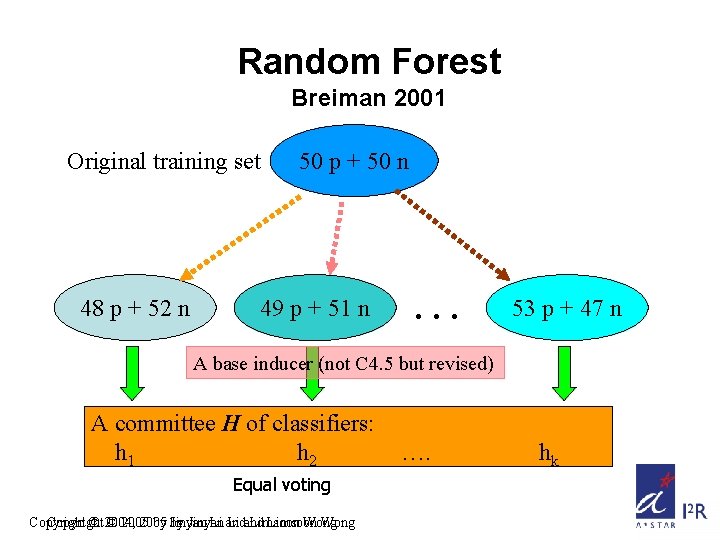 Random Forest Breiman 2001 Original training set 48 p + 52 n 50 p