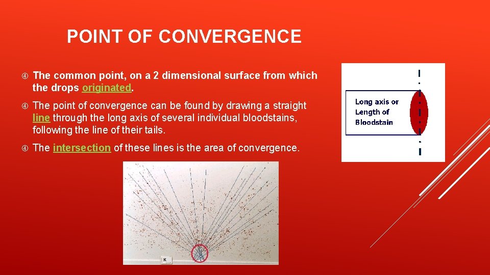 POINT OF CONVERGENCE The common point, on a 2 dimensional surface from which the