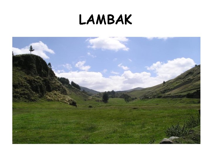 LAMBAK 