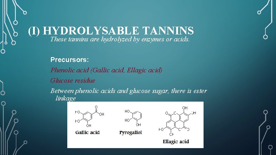 (I) HYDROLYSABLE TANNINS These tannins are hydrolyzed by enzymes or acids. Precursors: Phenolic acid