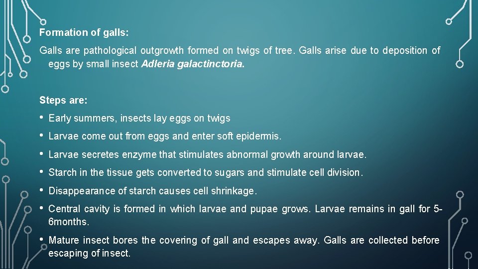 Formation of galls: Galls are pathological outgrowth formed on twigs of tree. Galls arise