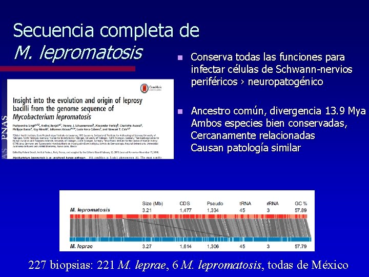 Secuencia completa de M. lepromatosis n Conserva todas las funciones para infectar células de