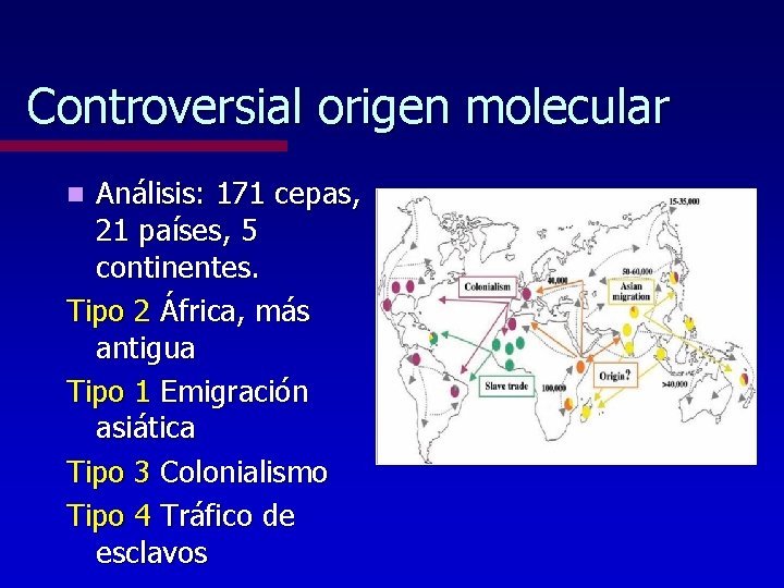 Controversial origen molecular Análisis: 171 cepas, 21 países, 5 continentes. Tipo 2 África, más