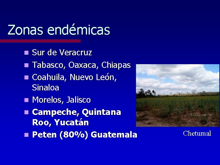 Zonas endémicas n n n Sur de Veracruz Tabasco, Oaxaca, Chiapas Coahuila, Nuevo León,