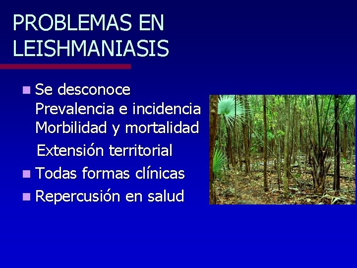 PROBLEMAS EN LEISHMANIASIS n Se desconoce Prevalencia e incidencia Morbilidad y mortalidad Extensión territorial
