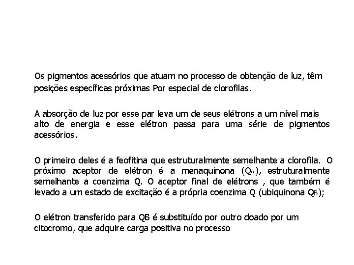Os pigmentos acessórios que atuam no processo de obtenção de luz, têm posições específicas