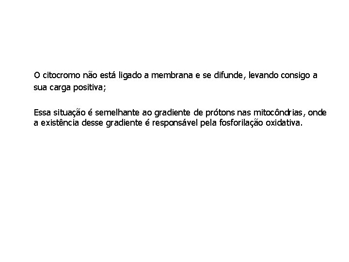 O citocromo não está ligado a membrana e se difunde, levando consigo a sua