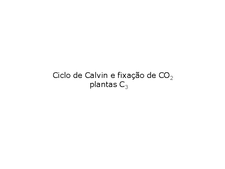 Ciclo de Calvin e fixação de CO 2 plantas C 3 