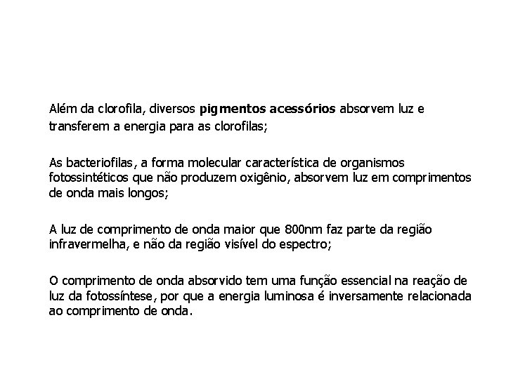 Além da clorofila, diversos pigmentos acessórios absorvem luz e transferem a energia para as