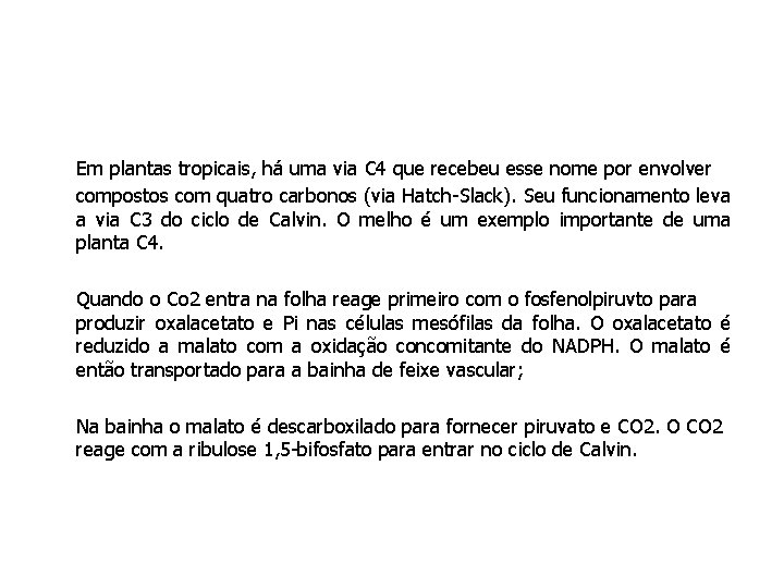 Em plantas tropicais, há uma via C 4 que recebeu esse nome por envolver