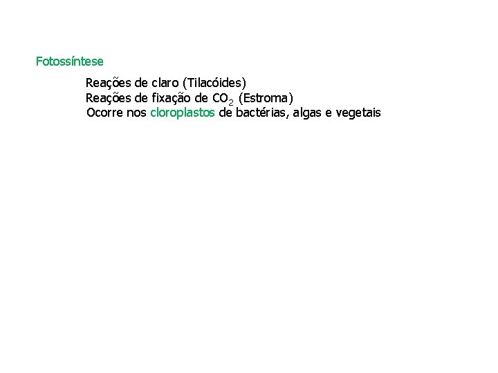 Fotossíntese Reações de claro (Tilacóides) Reações de fixação de CO 2 (Estroma) Ocorre nos