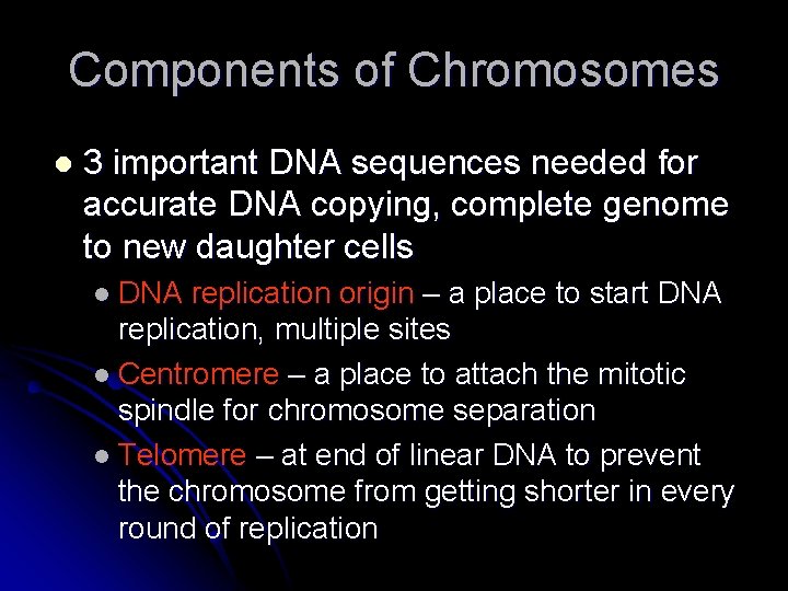 Components of Chromosomes l 3 important DNA sequences needed for accurate DNA copying, complete