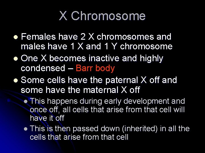 X Chromosome Females have 2 X chromosomes and males have 1 X and 1