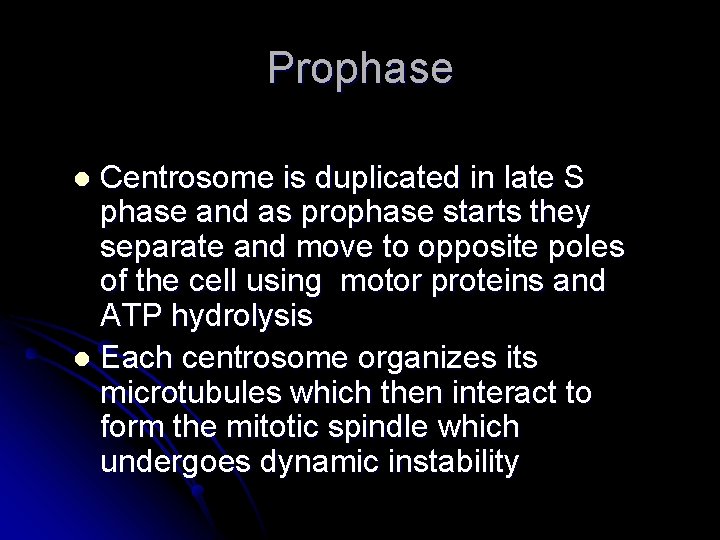 Prophase Centrosome is duplicated in late S phase and as prophase starts they separate