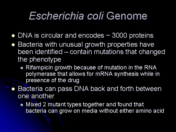 Escherichia coli Genome l l DNA is circular and encodes ~ 3000 proteins Bacteria