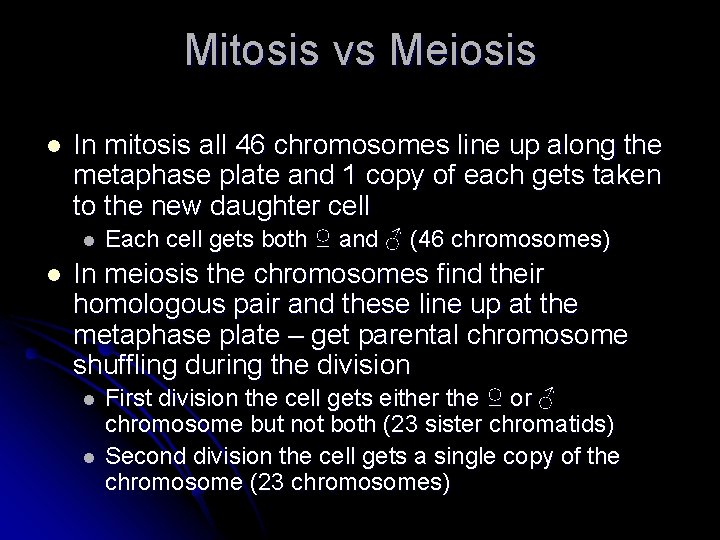 Mitosis vs Meiosis l In mitosis all 46 chromosomes line up along the metaphase