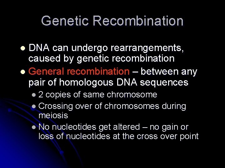 Genetic Recombination DNA can undergo rearrangements, caused by genetic recombination l General recombination –