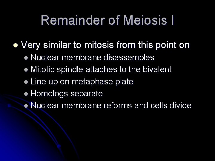 Remainder of Meiosis I l Very similar to mitosis from this point on l