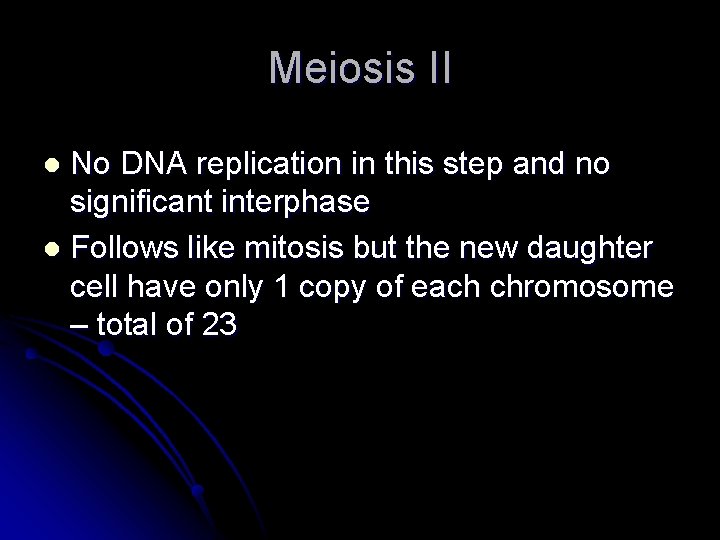 Meiosis II No DNA replication in this step and no significant interphase l Follows